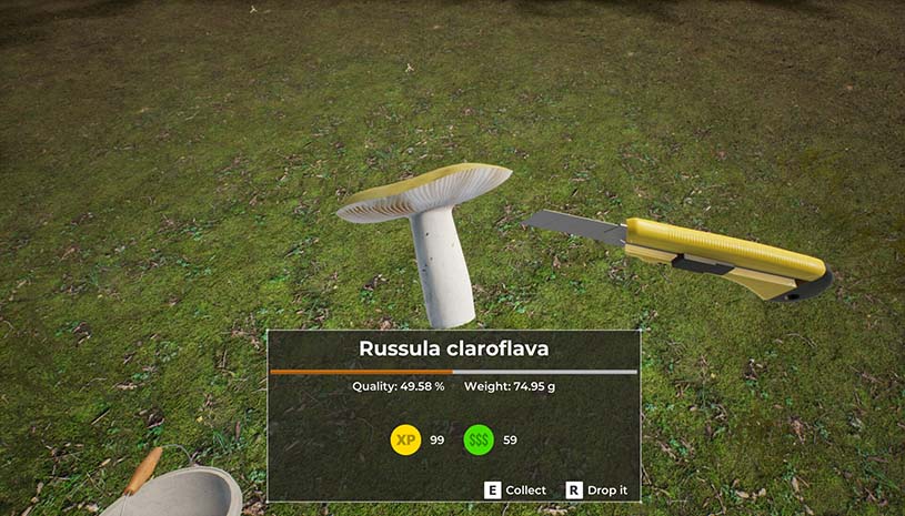 fecb919a8b1781023ad2164fbef1b458