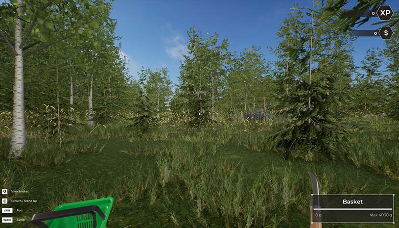 608774f7933edd0ab337635e1e955773