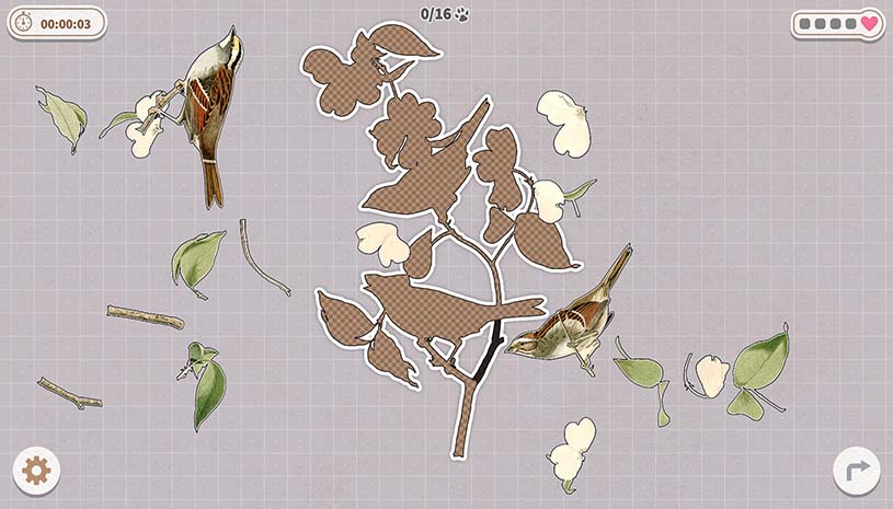 0bc38537fa547a9300823c0044517d6d