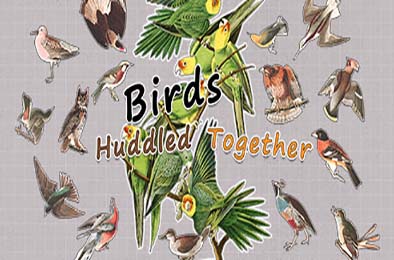 挤在一起的鸟鸟 / Birds Huddled Together