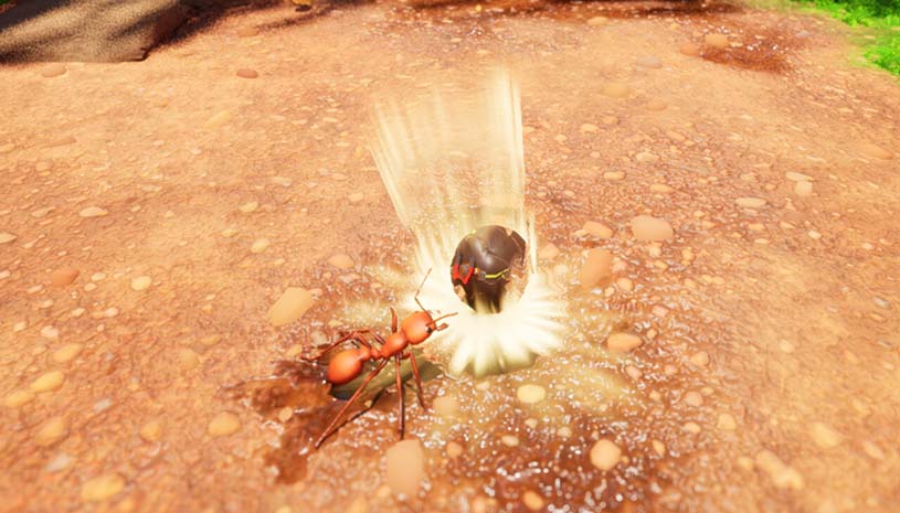 8d38e3559c18b33bae73e604eec252bf