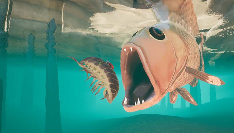 afe73ac81d31154e74c7a566e5013441