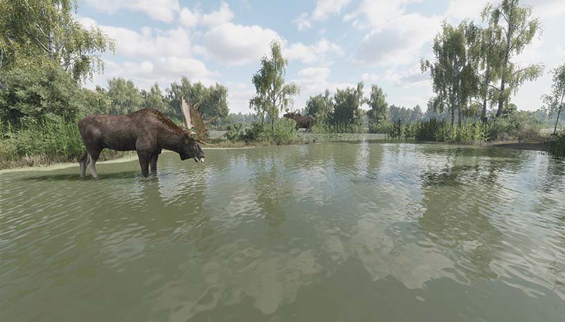 f20fc6206a0ee2f1d37fe1f78094dbb3