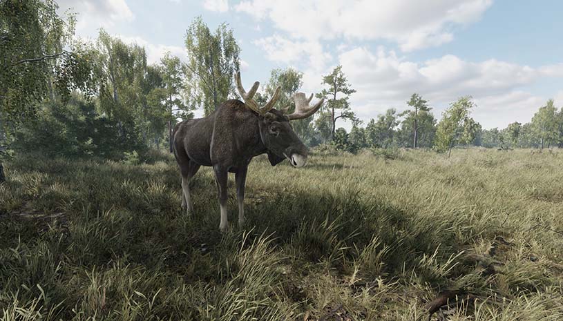 8c08dbade2eab5b515a7b95473c3bee4