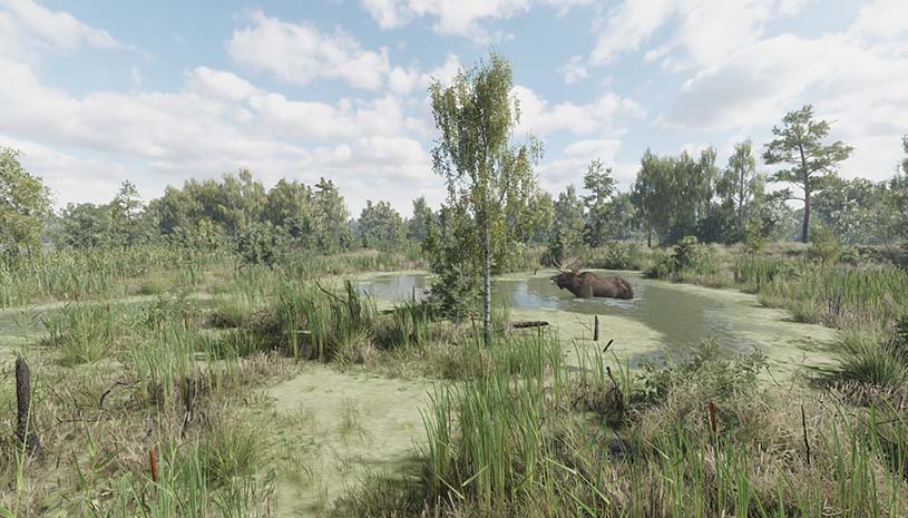 2982caffe64e40de1245b25ea63e9115