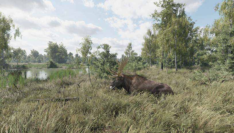 a9d6e2f3d73b392bbe06bec63183410b