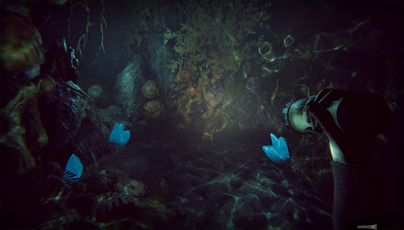 5b839c257e68c69b94e1aac36d6c5d58