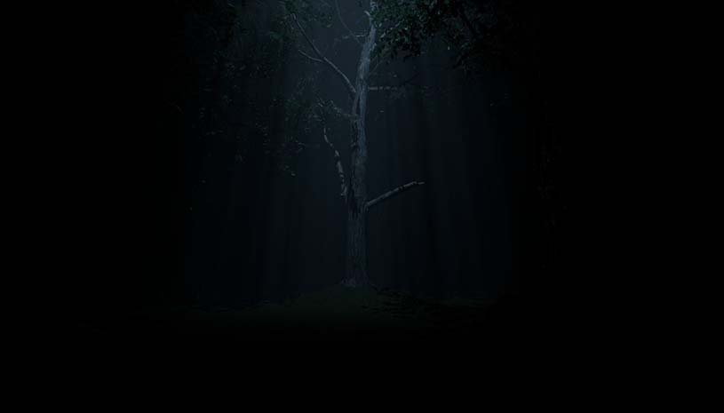 99c0ac194570599180043464ba6a0167