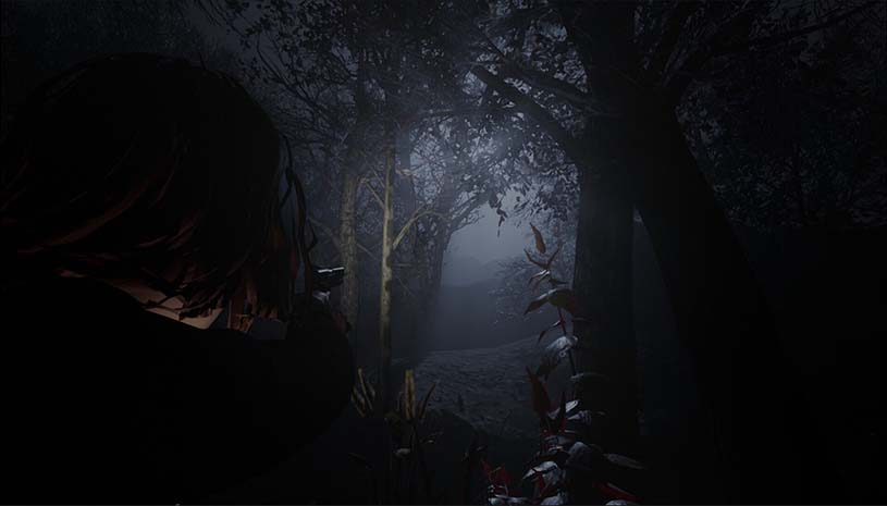 0d256c600400c4505a2894be3b332bea