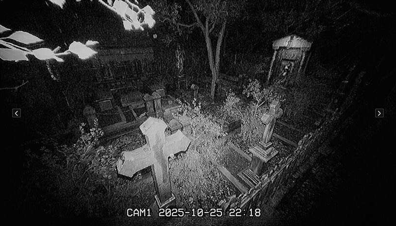 67c4a631203f36c0a48a780fda1fc4d0