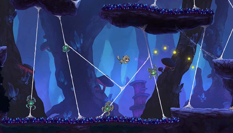 ec1a1b813cf504ac6c1ff300ce32ab53