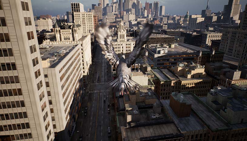 2c2dad6807e1ac3b7a761500e188c884