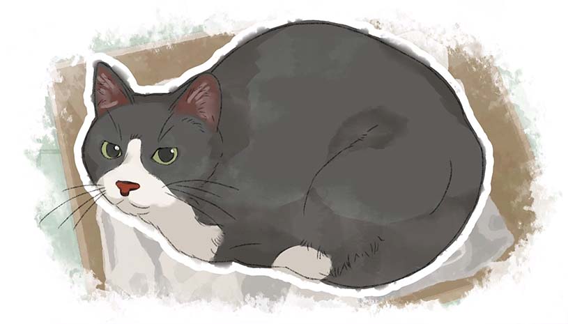 6a295964b41a6272298798b2a8f3a7d2