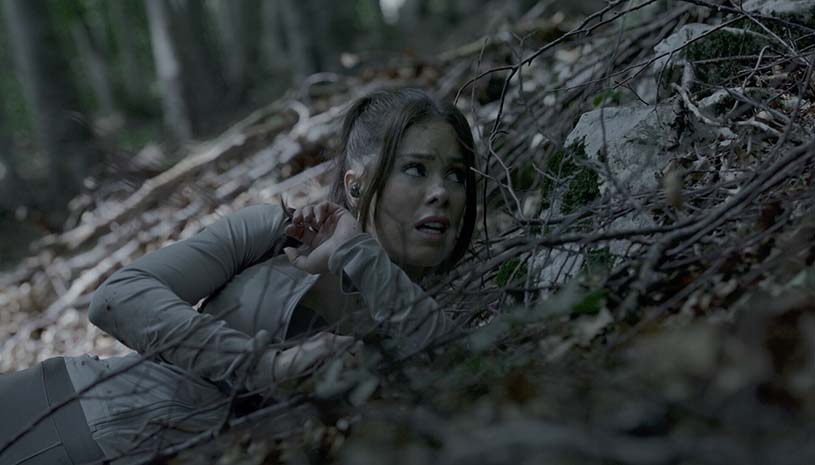 d3368b11ce68601af5ea4ffaf9661e8e