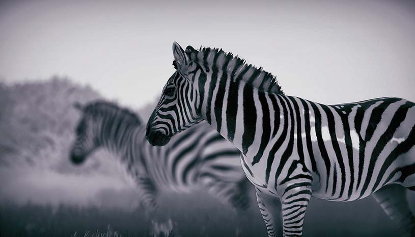 3c21acb9c6fa92c1f99a76eb86394067