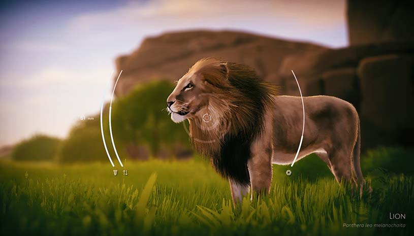 00e3ae9947ad16479e36d2c8c17a915c