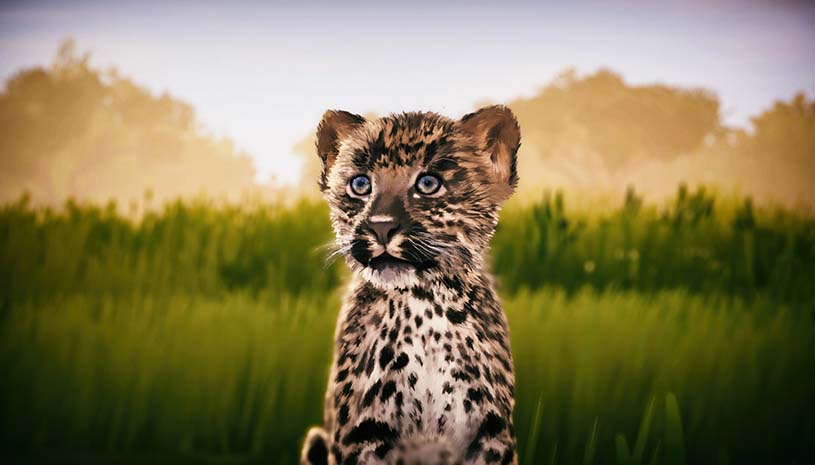 91409c1f4ec7ada395d65984ba3930a7