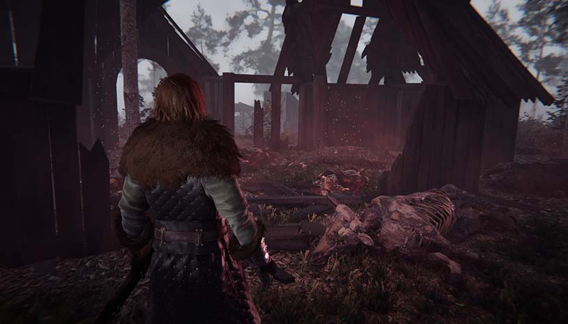 5567ecc6005b6cf156f39c1a0752efc3