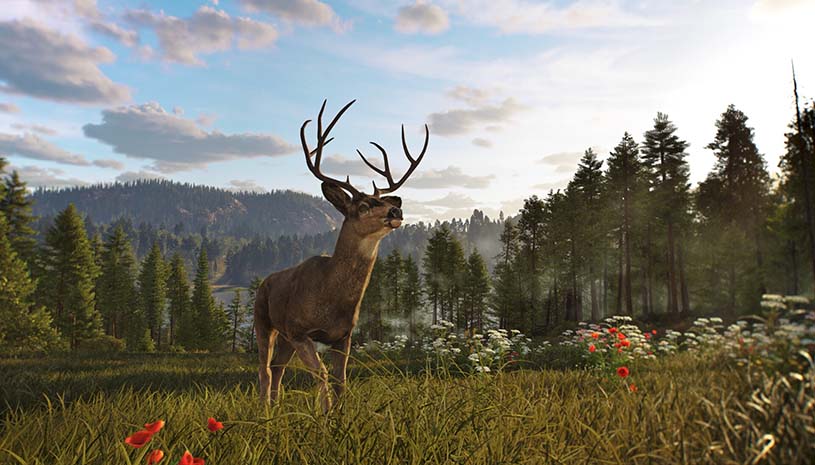 3655d4adec91939d4b9477c78e498c82