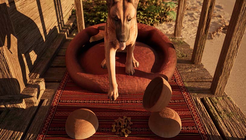 901f49574233e30e90eccbd548707dd7