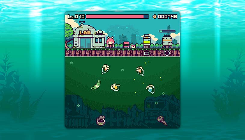 48fe8dc48ca6b41ead33efea5445b614