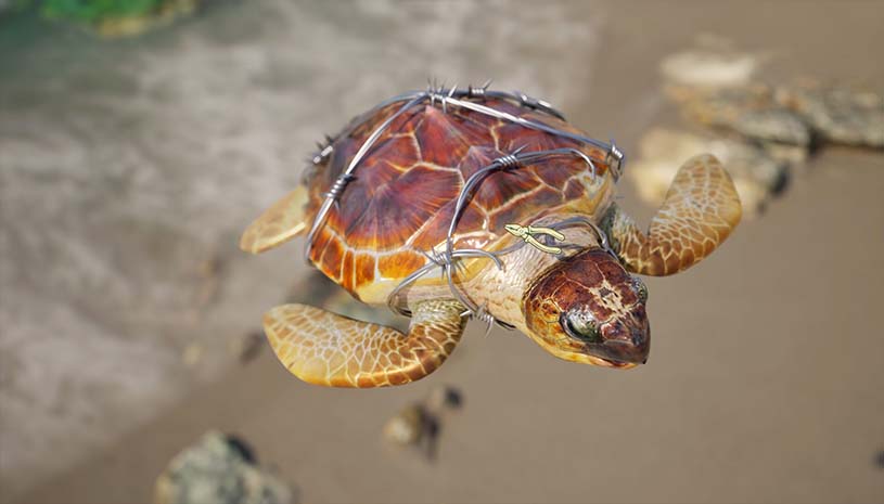 07befd6faee2c45cd868c56b660406e3