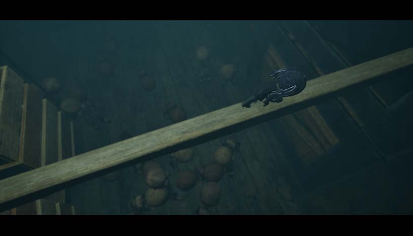 d1190b9812d437f28139a18d6fae6ef5