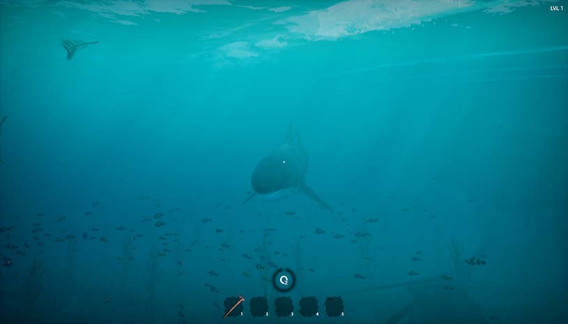 da638dd4e1a3c7b2bf50604ab3d4b99c