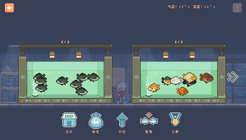宠物街的金鱼姬 / Pet Street Story 游戏截图 66d5b58e5509cd4f54ab5b0e8bb3a119