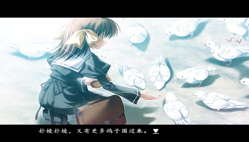 悠久之翼-前篇 / ef - the first tale. 游戏截图 01ad89747c7e25d70c97cf3246a0adb7