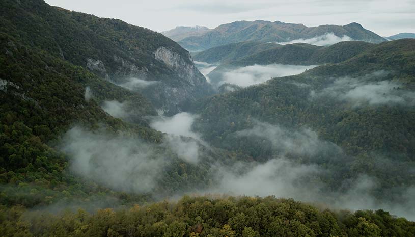 无言之林 / Wordless Forest 游戏截图 9391f171eec52ffe3d2167b943e8aff3