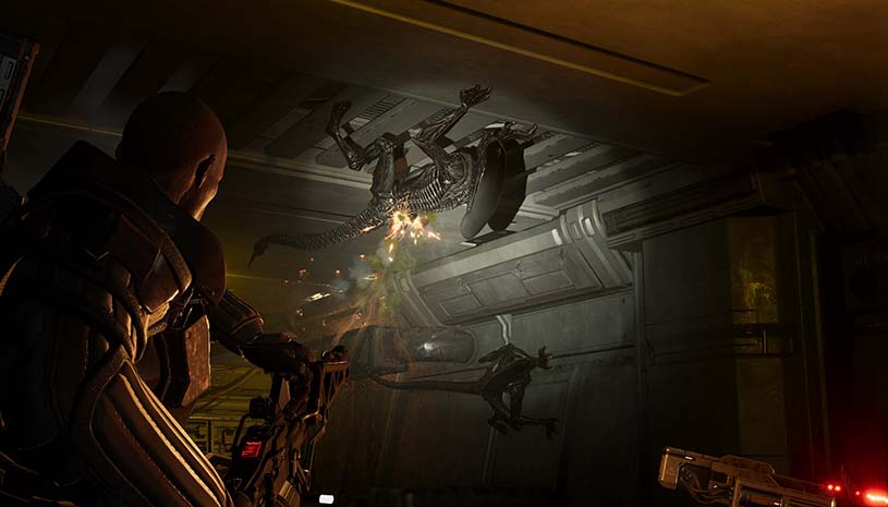 异形:火力精英2 / Aliens: Fireteam Elite 2 v1.0.0 游戏截图 a56feb9b58f7e509a97e0f6d930ec2f6