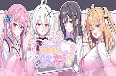 难道你是GAL高手 / Could You Be a Gal Master? 游戏封面
