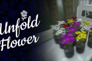 绽花 / Unfold Flower